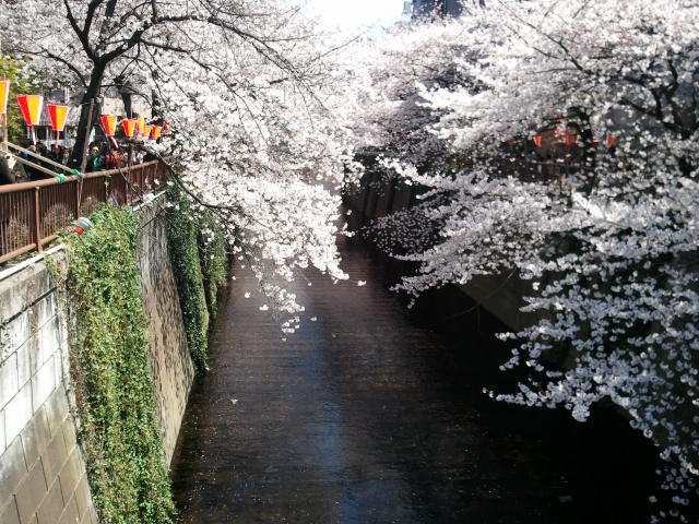 a0134562_2335334.jpg