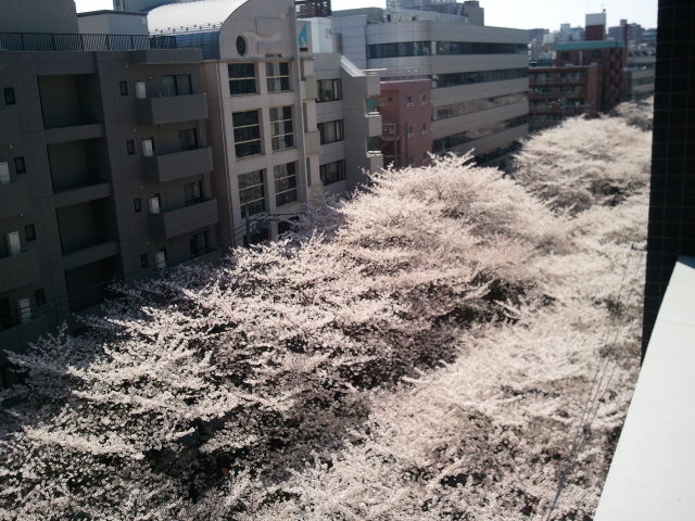 a0134562_23413482.jpg