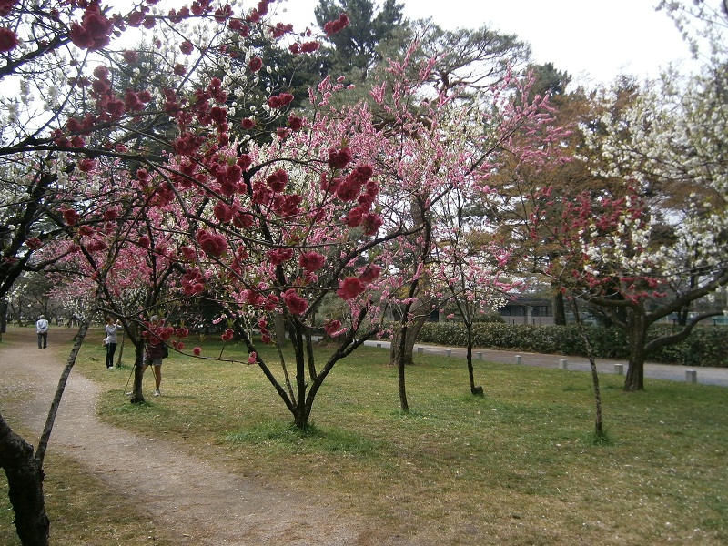 c0128862_17111193.jpg