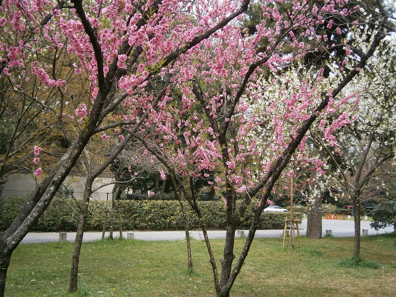 c0128862_17113265.jpg