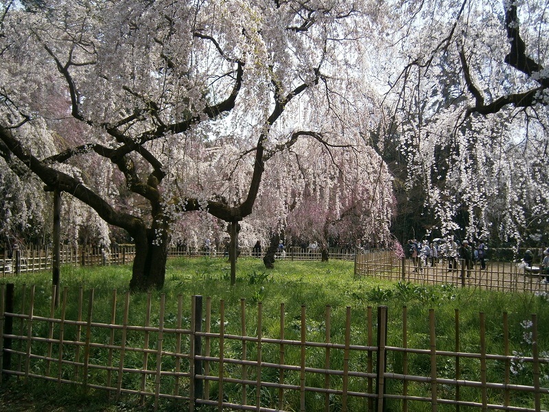 c0128862_1772778.jpg
