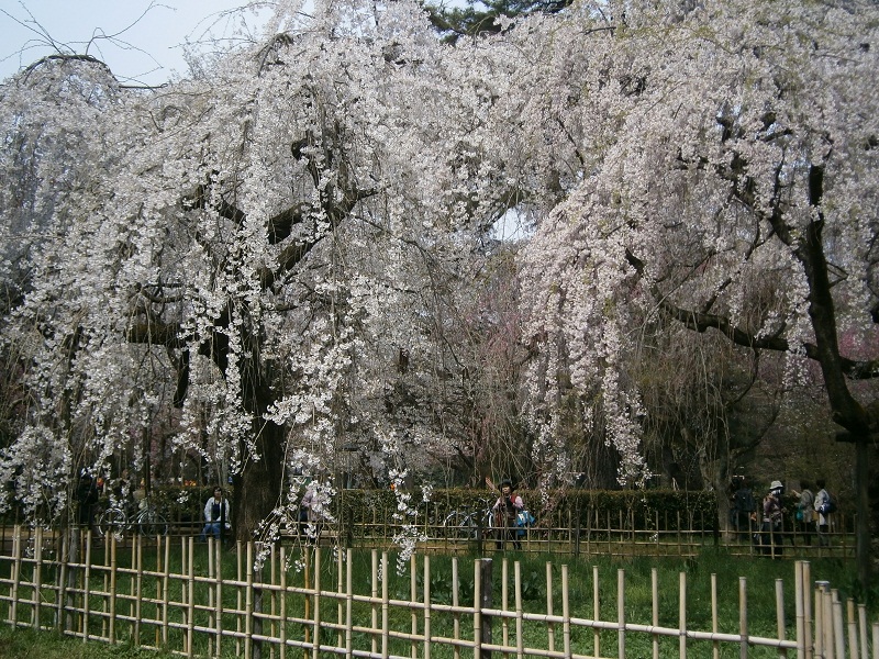 c0128862_1781551.jpg