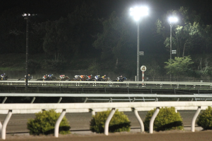 2012年4月8日（日） 高知競馬 10R 第28回 二十四万石賞 その1_a0077663_12153731.jpg