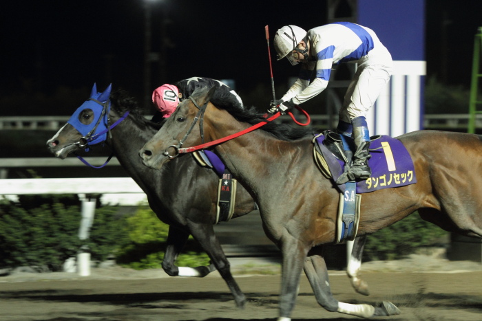 2012年4月8日（日） 高知競馬 10R 第28回 二十四万石賞 その2_a0077663_12545785.jpg