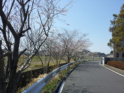 d0177266_175093.jpg