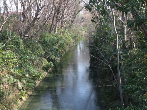 f0230467_2334062.jpg