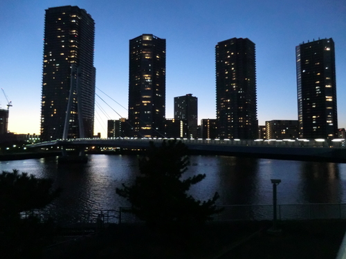 桜が咲いたら_d0193569_81535.jpg