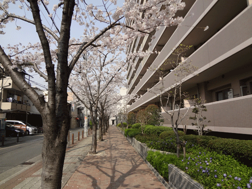 c0000970_1062422.gif