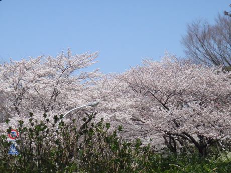 f0223972_824425.jpg