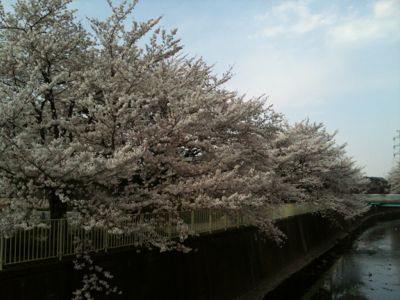 春満載!_e0248573_1853047.jpg