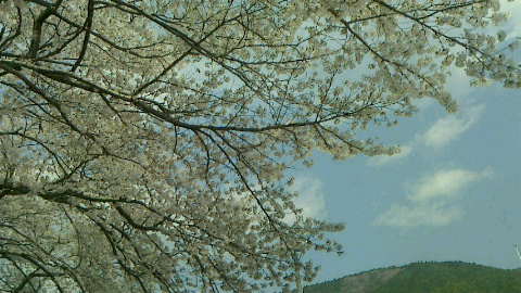 f0215179_8124858.jpg
