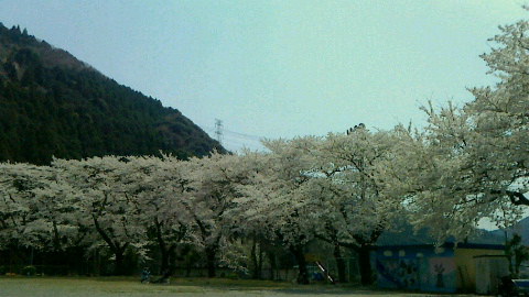 f0215179_8124953.jpg