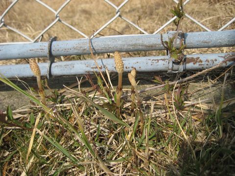 c0221281_21485747.jpg
