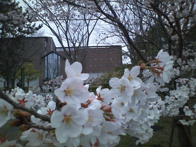 b0042882_22372178.jpg