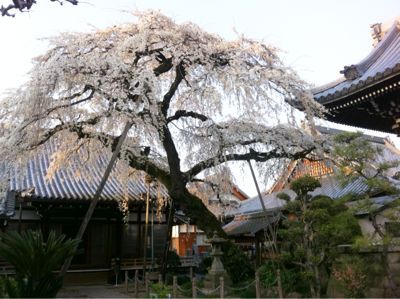 f0234683_811351.jpg