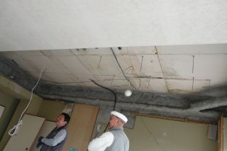 2012年4月10日 イチゴ好き_b0098584_14452812.jpg