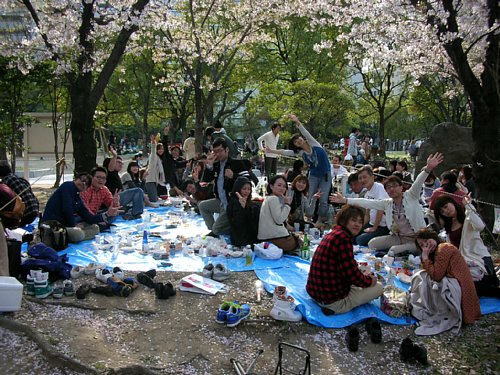 天神中央公園のお花見 ひびきの風