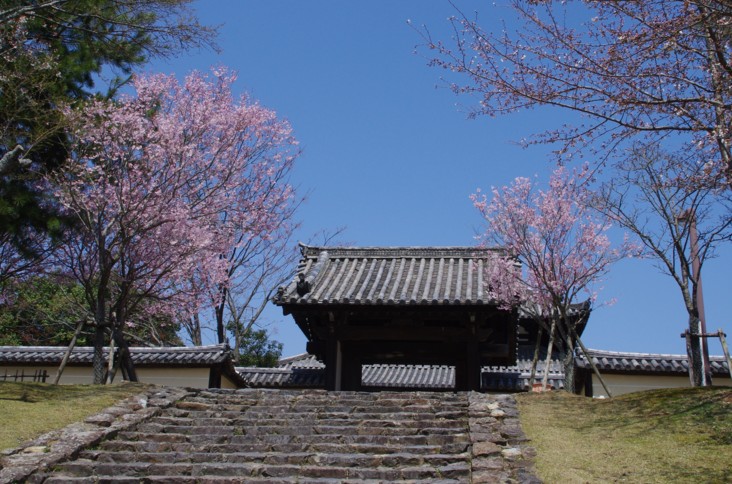 c0144185_23501350.jpg