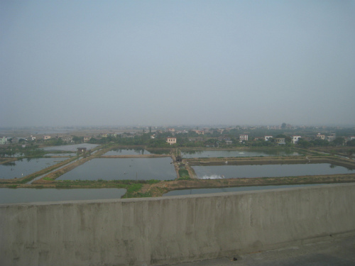 c0132387_10363738.jpg