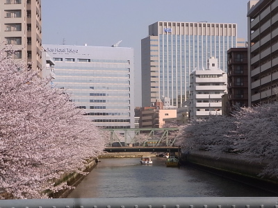 ++お花見@東京・門前仲町++_d0079988_16205660.jpg