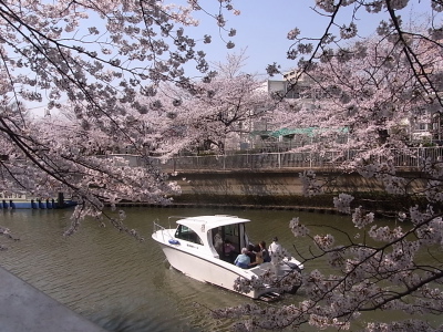 ++お花見@東京・門前仲町++_d0079988_16221268.jpg