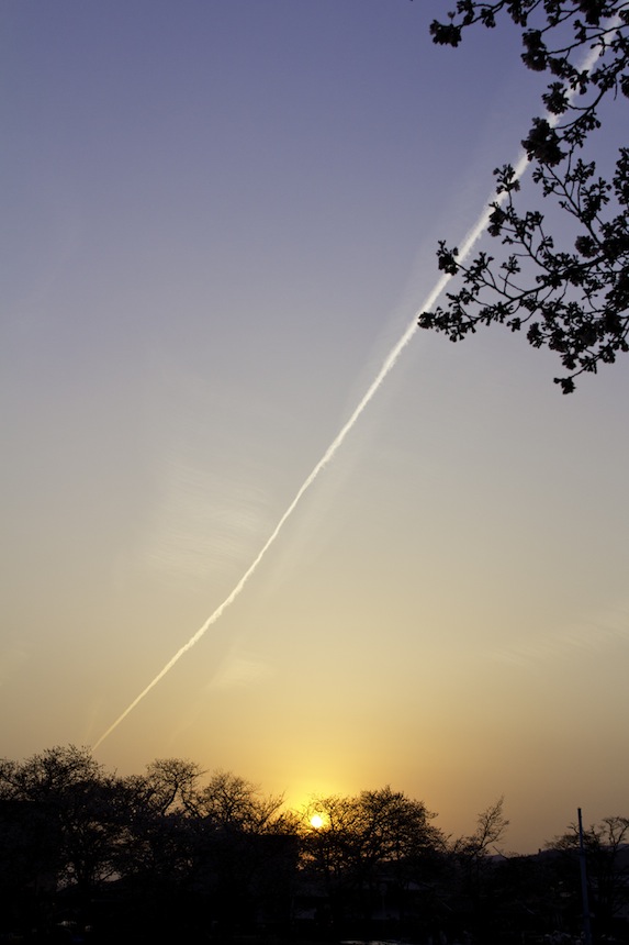 b0188590_54907.jpg