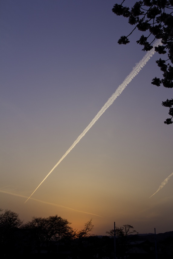 b0188590_5512663.jpg