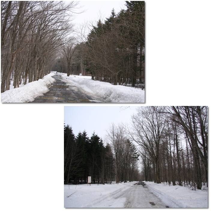 f0146493_23444279.jpg