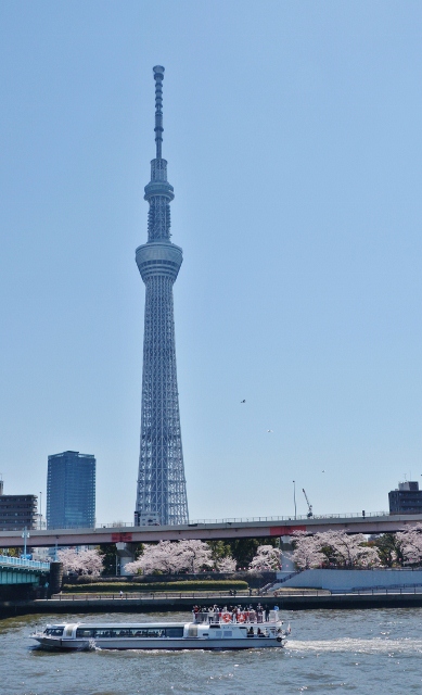 金色の東京スカイツリー　＼(^o^)／_a0053796_2315913.jpg