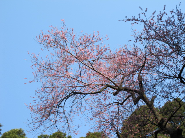 a0166196_16421251.jpg