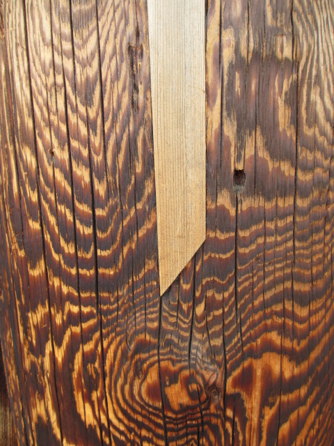 a0193698_19194621.jpg