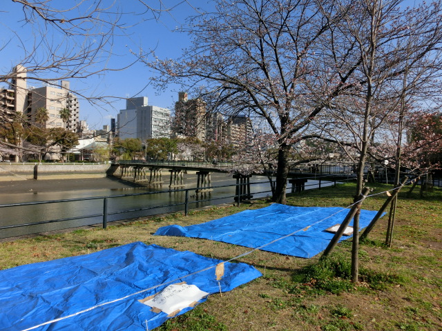 e0190698_95349.jpg