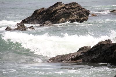 三浦半島、野比海岸〜_a0218499_222163.jpg