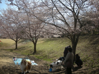 f0081100_8182837.jpg