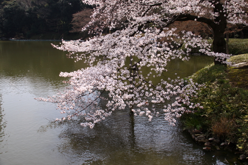 d0248502_10145566.jpg