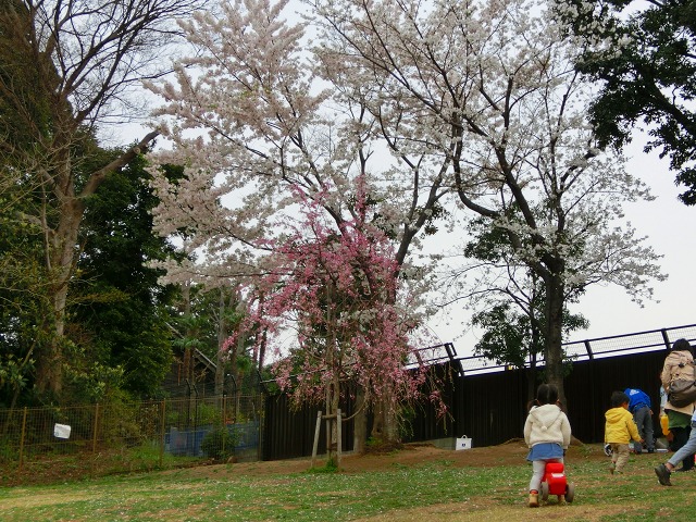 b0190603_19121137.jpg