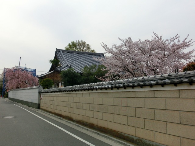 b0190603_3435529.jpg