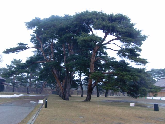 a0101404_22153849.jpg