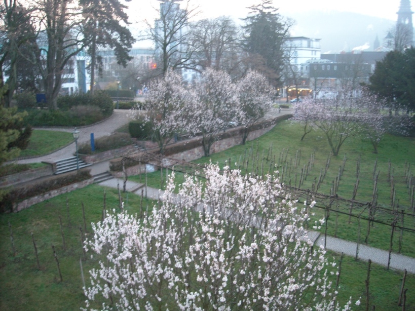 c0193304_1314797.jpg