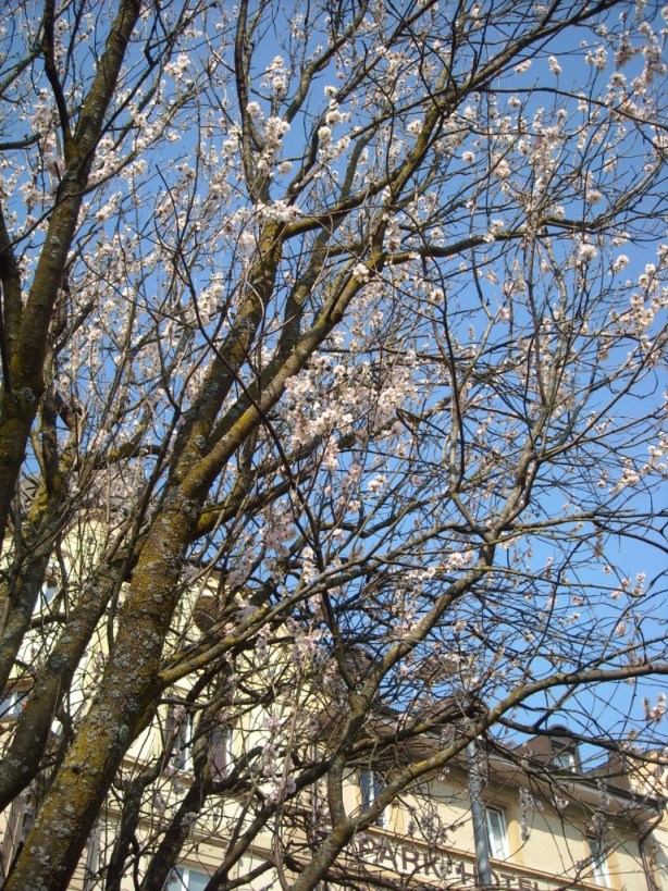 c0193304_1395055.jpg