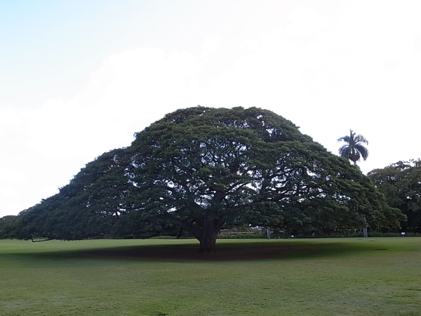 c0093205_302039.jpg