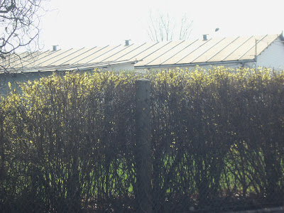 f0154805_19252661.jpg