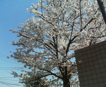 e0123206_10583869.jpg