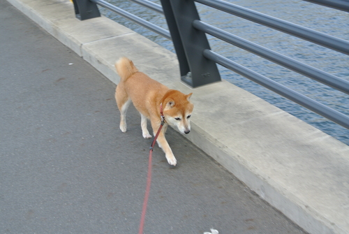 f0004309_18442212.jpg
