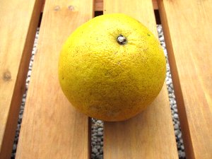 文旦と日向夏 青空マーケット 文旦と日向夏 青空マーケット