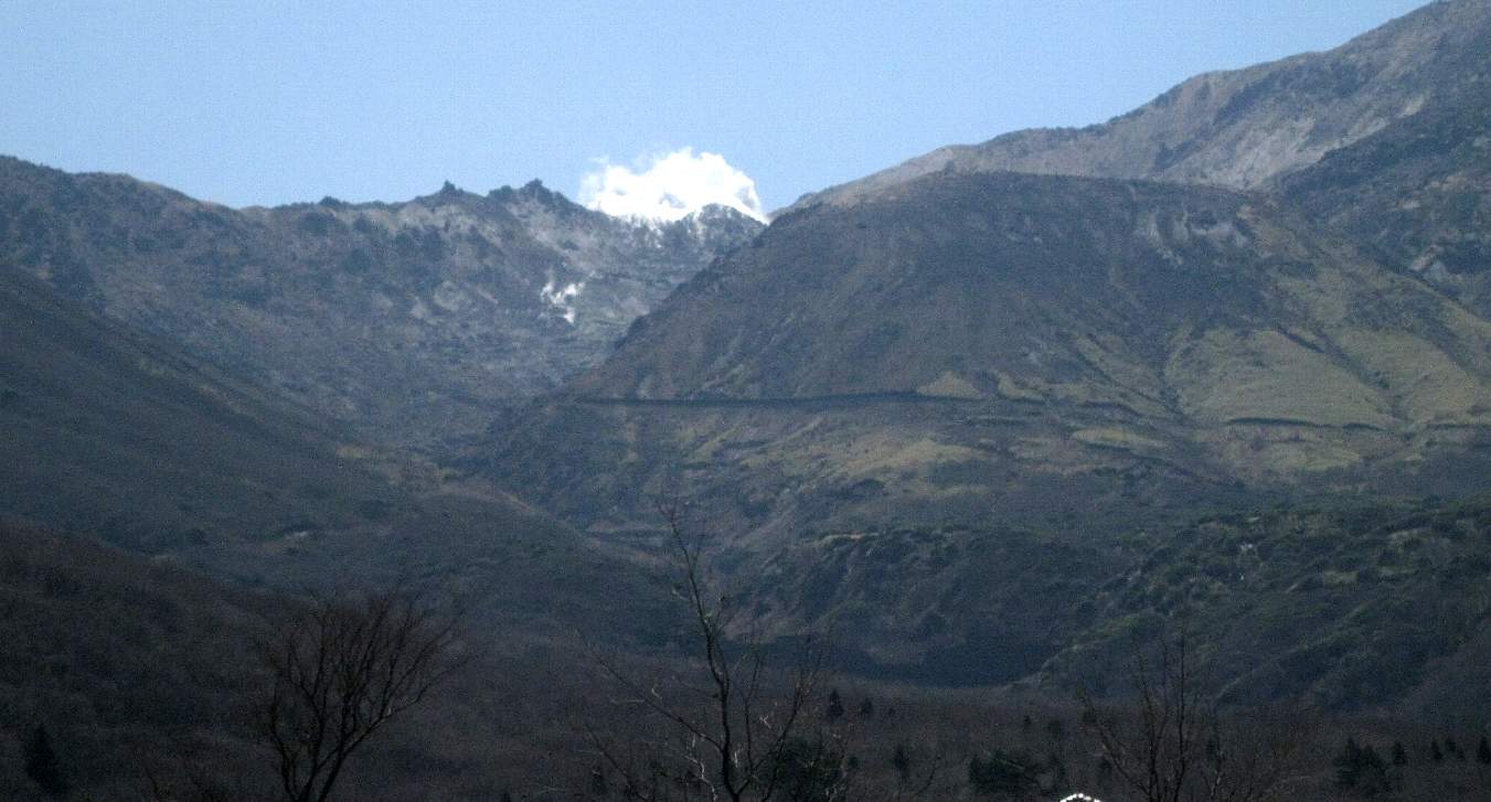 e0003910_1753319.jpg