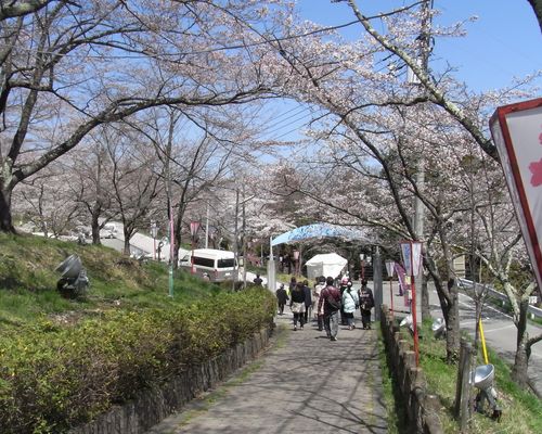 山梨の桜_f0006510_22575619.jpg