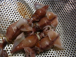 シャブシャブ ホタルイカ!_f0157910_15274334.jpg
