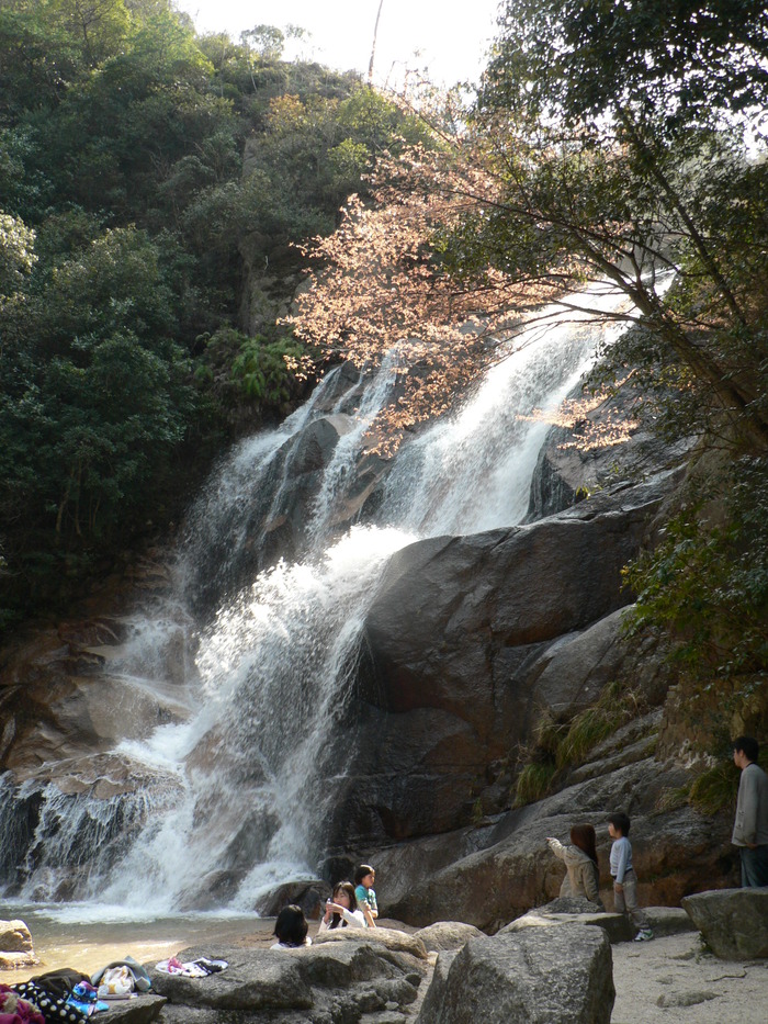f0219710_85157.jpg