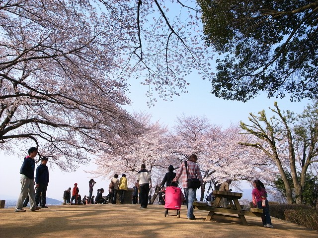 e0145711_24311.jpg